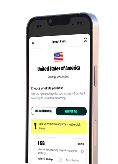 Roaming alle tue condizioni